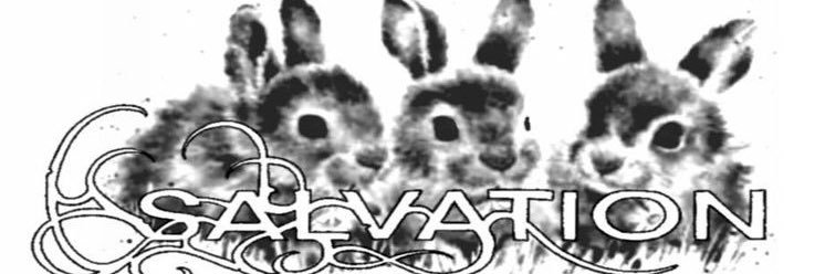 olvgrdn's profile banner image