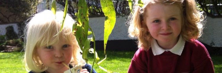 Valerie Keating banner