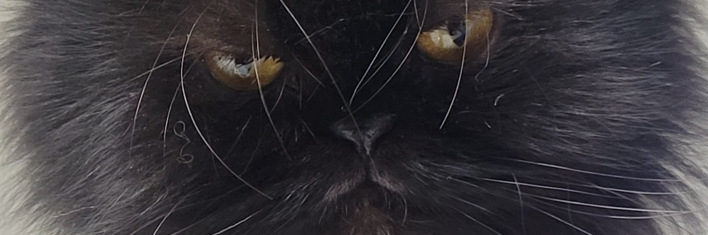 admElps's profile banner image