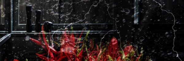 POLA__official Profile Banner