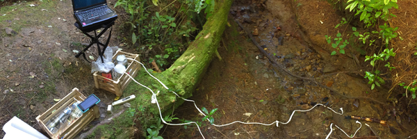 irgbit Profile Banner