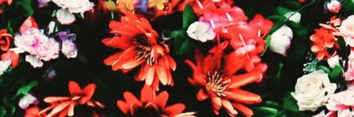 AngieUlla's profile banner image