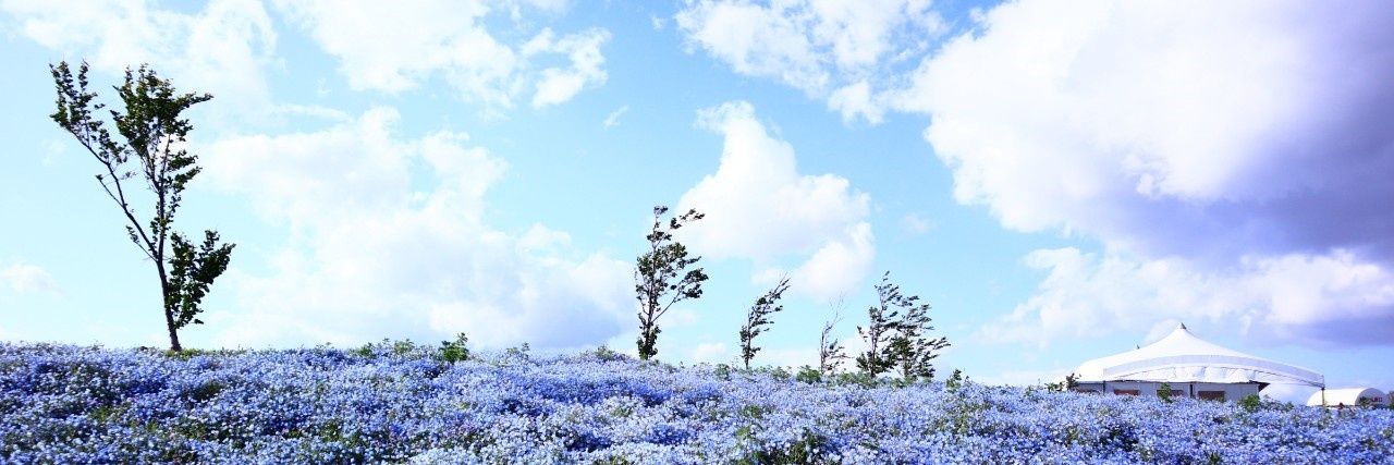 紗彩 banner