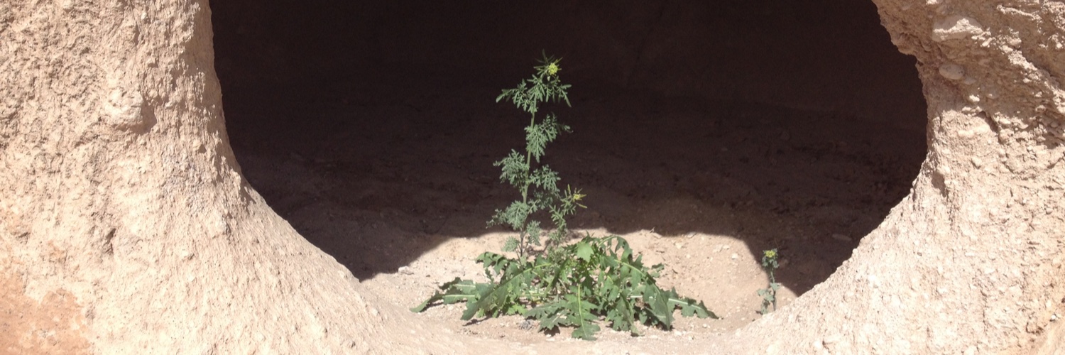 Aleyah Esther Goins banner