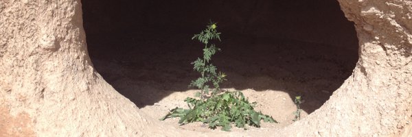 goinsyeah Profile Banner