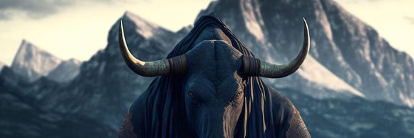 codev__ Profile Banner