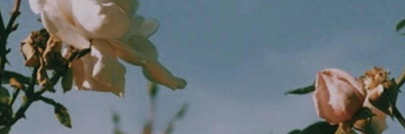 Addylambchops's profile banner image