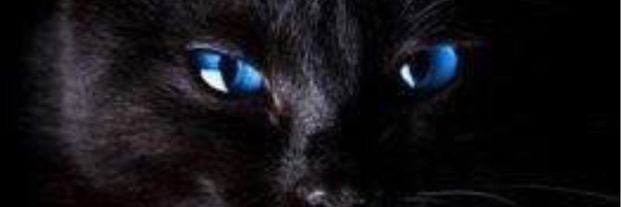 itsbreee's profile banner image