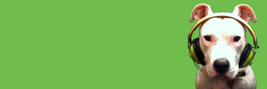 Kristen Herrmann banner