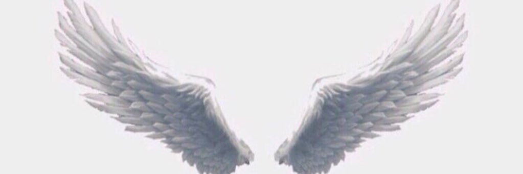 w_alaskar's profile banner image