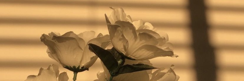 𝑎𝑦𝑢𝑚𝑎𝑚𝑒 banner