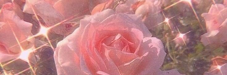 6o_______'s profile banner image