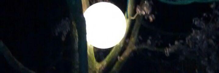 Kartoffel 😷 banner