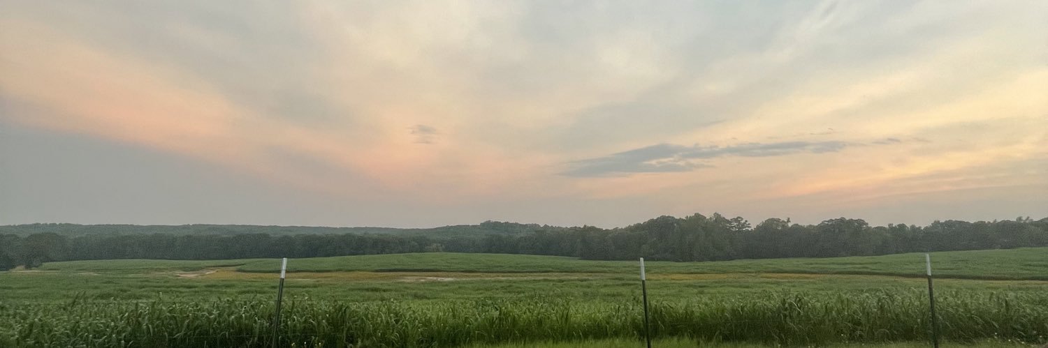 kylabrooke16's profile banner image