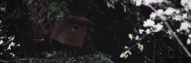 Swetsoosaa's profile banner image