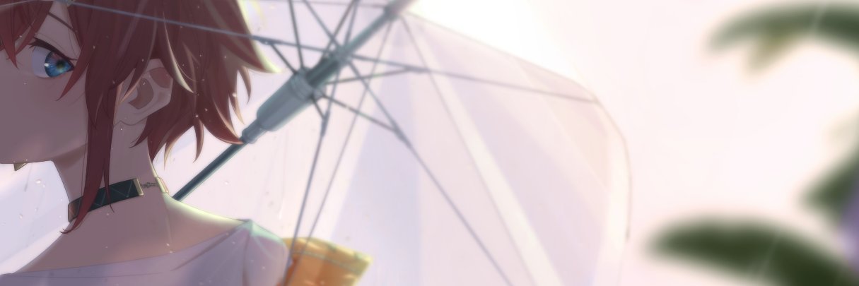 LusterR1's profile banner image
