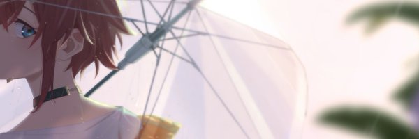 LusterR1 Profile Banner