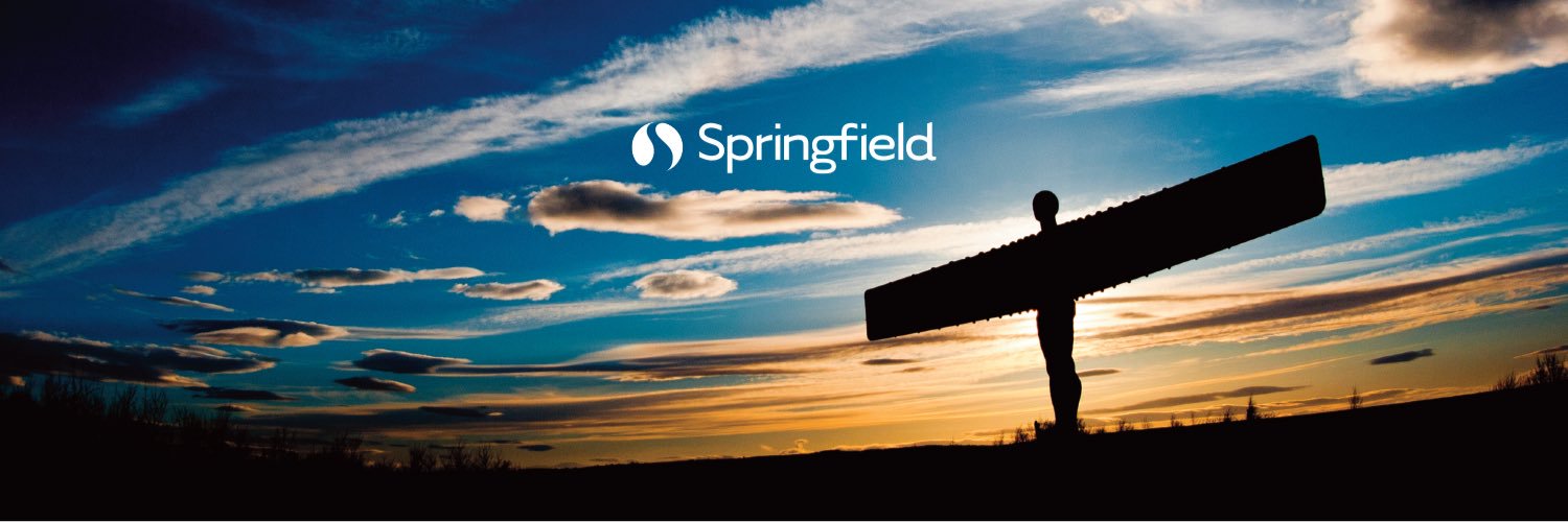 buyspringfield's profile banner image