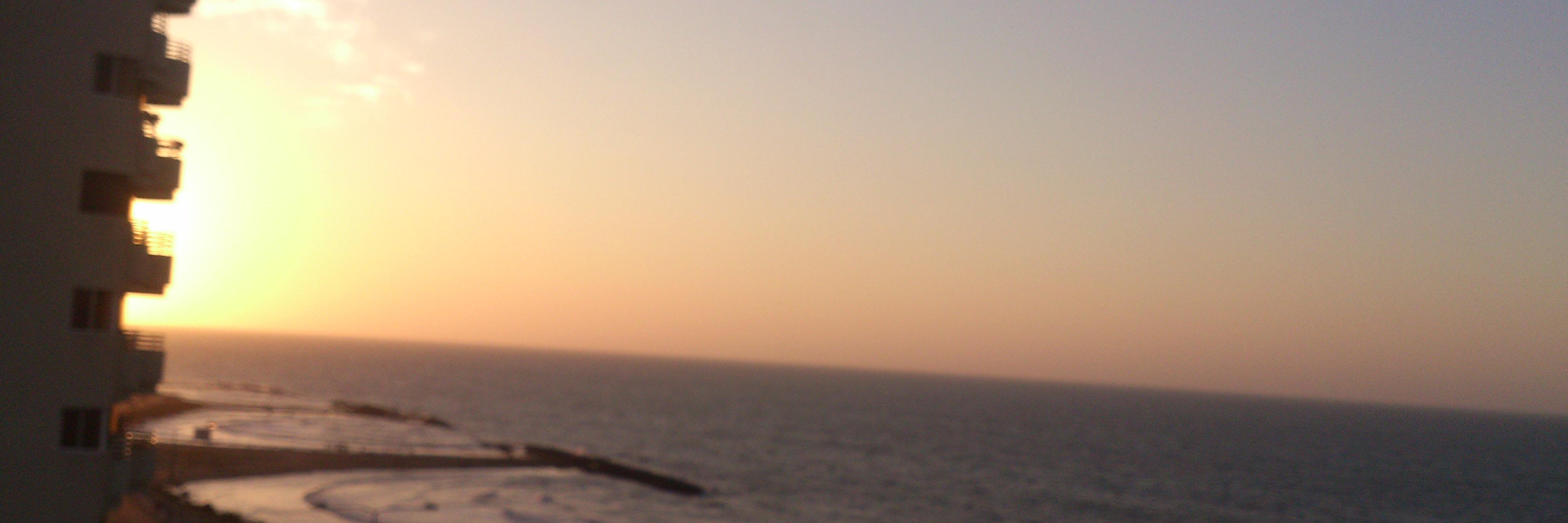 Beatriz Saravia J banner