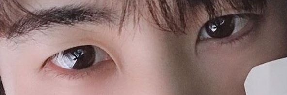 가마보고 banner
