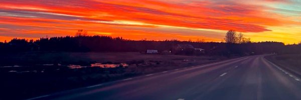 Pro_Tradings Profile Banner