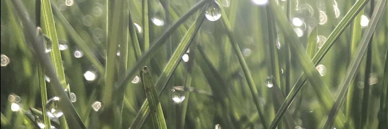NeauWey's profile banner image