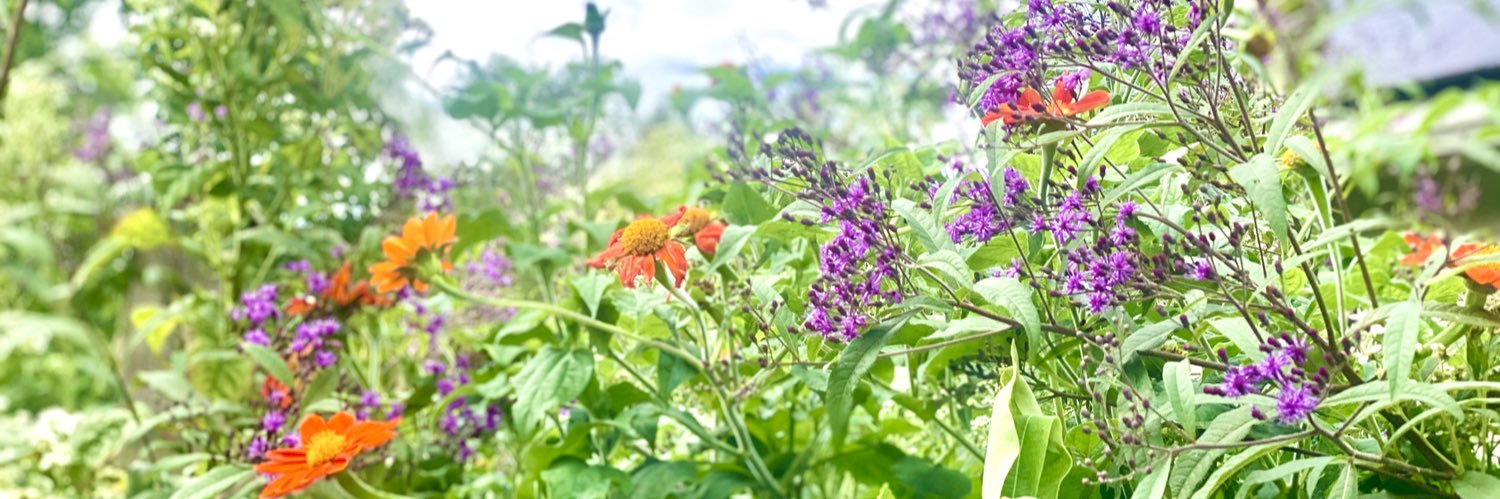 Chelmariejo's profile banner image