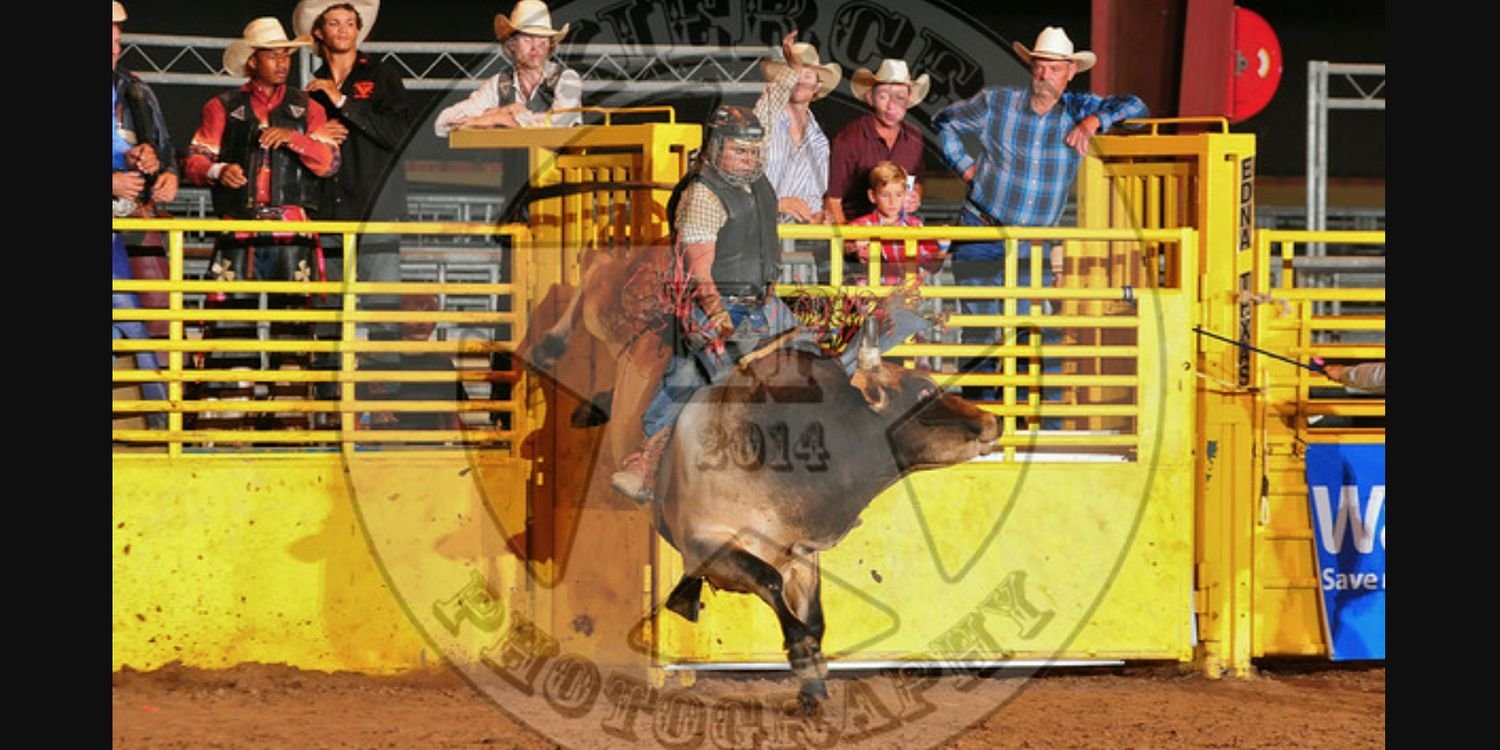 TEX5252's profile banner image