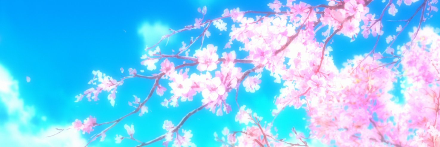Apdo banner