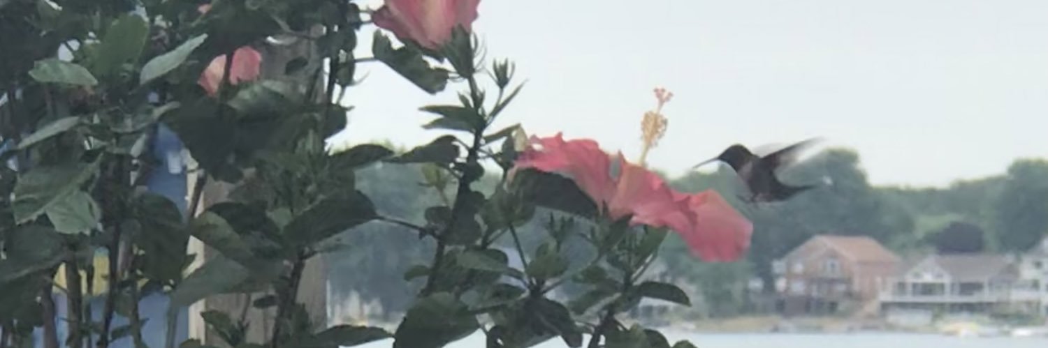 LodesTone will cut banner