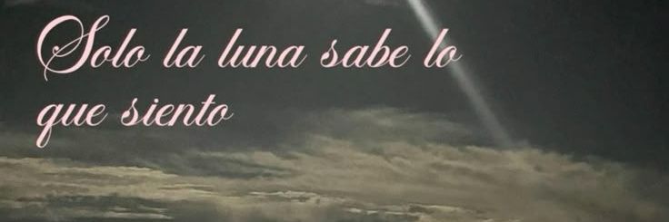 valsnali's profile banner image