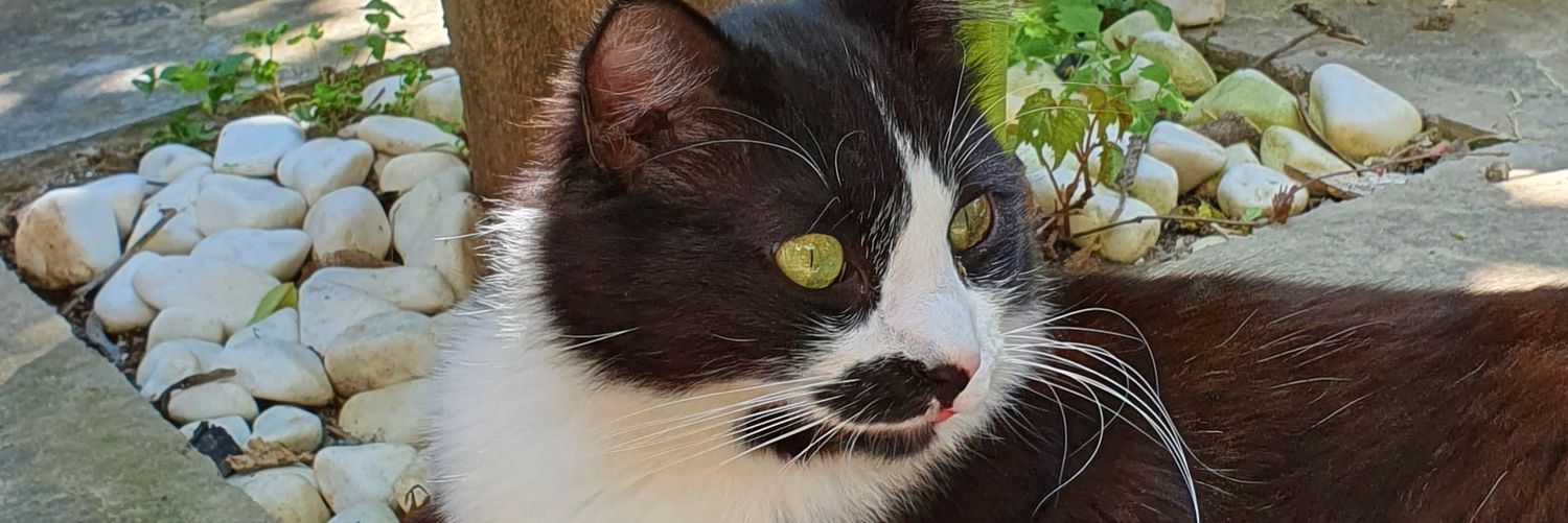 maria_ps 🇬🇷 banner