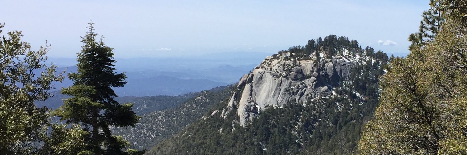 IsaFurth's profile banner image