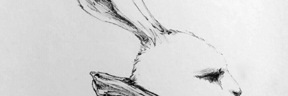 wyvinz's profile banner image