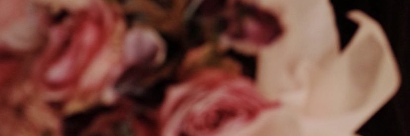 naeganomu's profile banner image