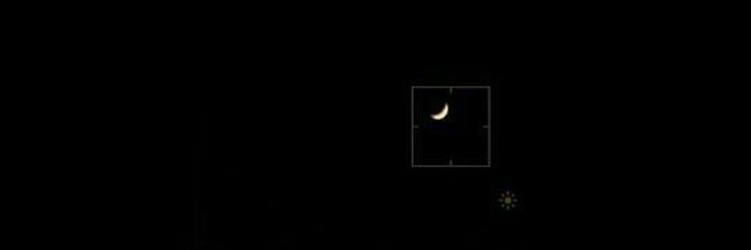 elizabeth 𖦹˚⋆ banner