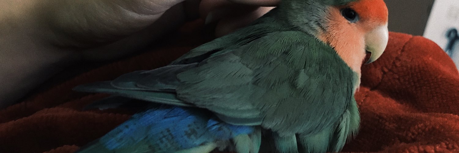 jinxednuisance's profile banner image