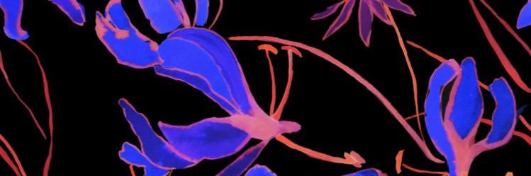 _miss_sierra's profile banner image