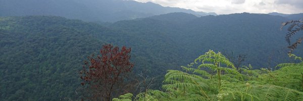 DevotaNuwe Profile Banner