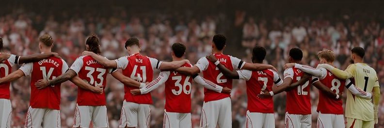 Drizzie banner
