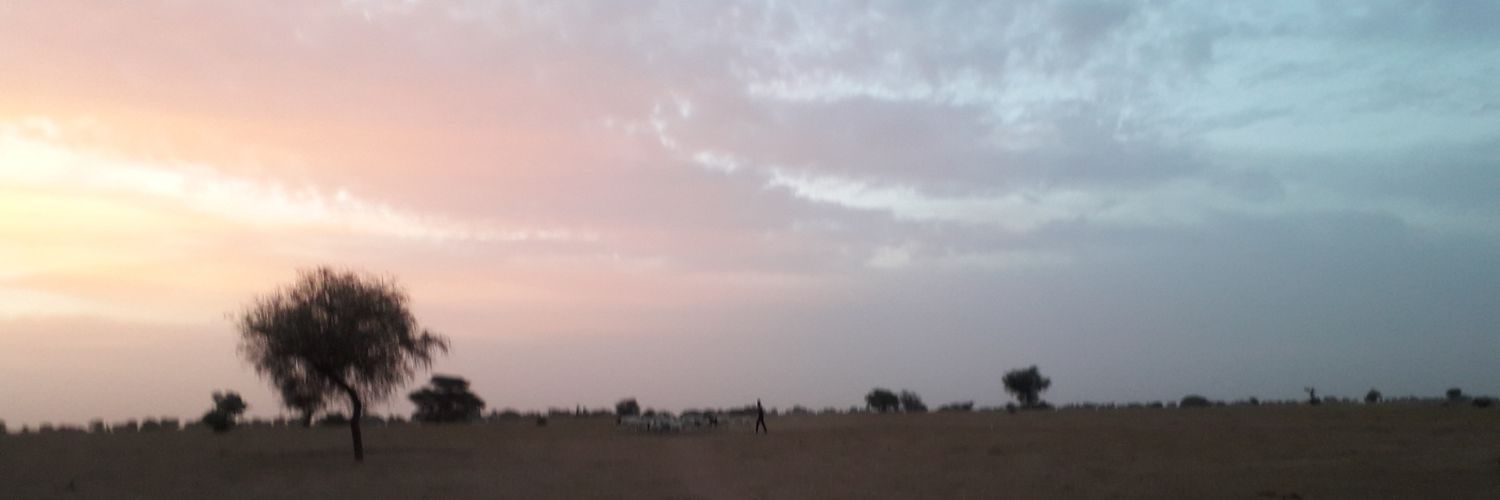 Fatoumata Sene banner