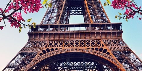 debsanne62's profile banner image