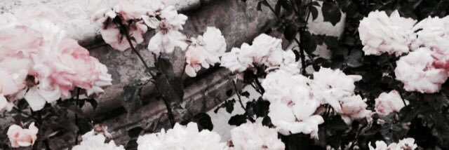 lilpuhp's profile banner image
