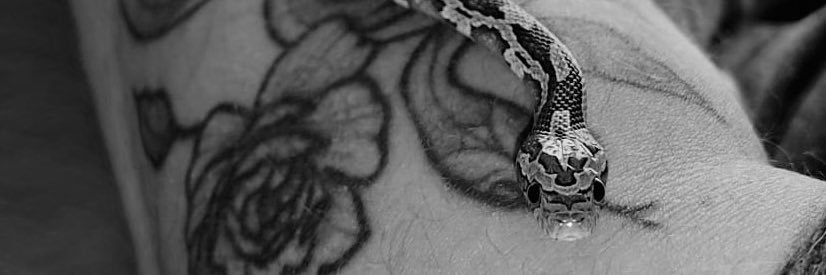 CeliaFdz_'s profile banner image