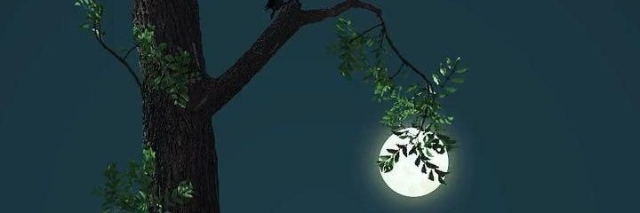 hnak22's profile banner image