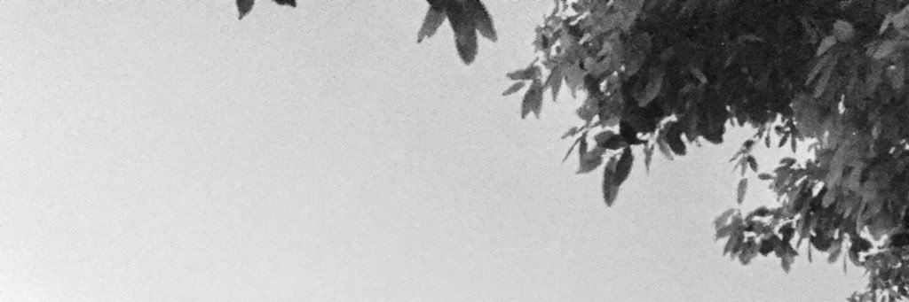 oehler_l's profile banner image