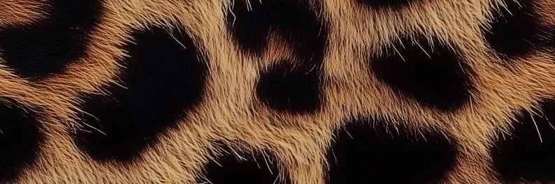 tae_221's profile banner image