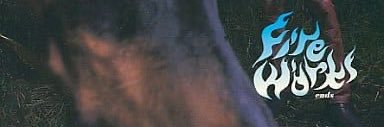 endsfireworks99's profile banner image