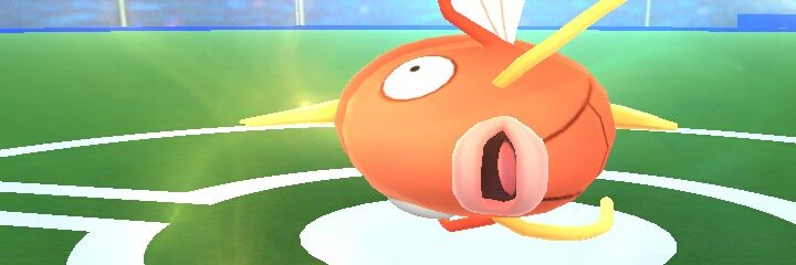 CharizardBomb's profile banner image