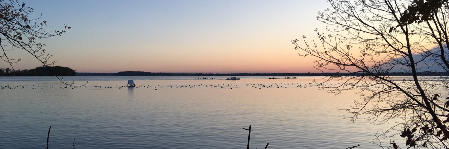 Kristen Bernard ❤️🦠 banner